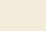 COLORMATTE MARFIL HONEY 10"X30" MATTE