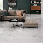 FENIX GRIS POLISHED 24X48 COVER