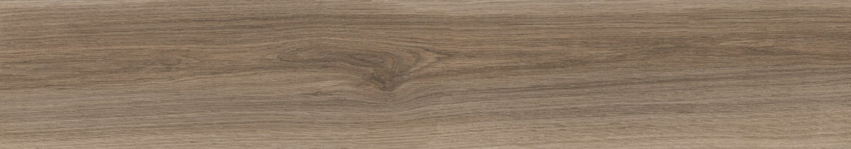 T10993---BARKLEY-CAMEL-8X46--P1 BARKLEY CAMEL 8"X46" - Image 2