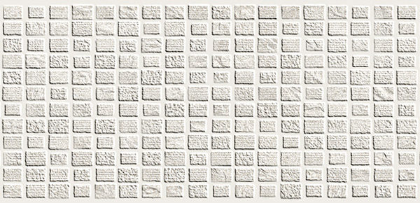 ELEVATION PROJECT WHITE