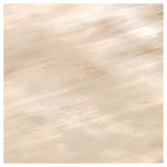 TANDUK FIRMA CONCHIGLIA LAPPATO 24"X24"