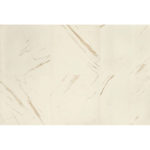 VERSACE MARBLE BIANCO LAPPATO 24"X24" - Image 2