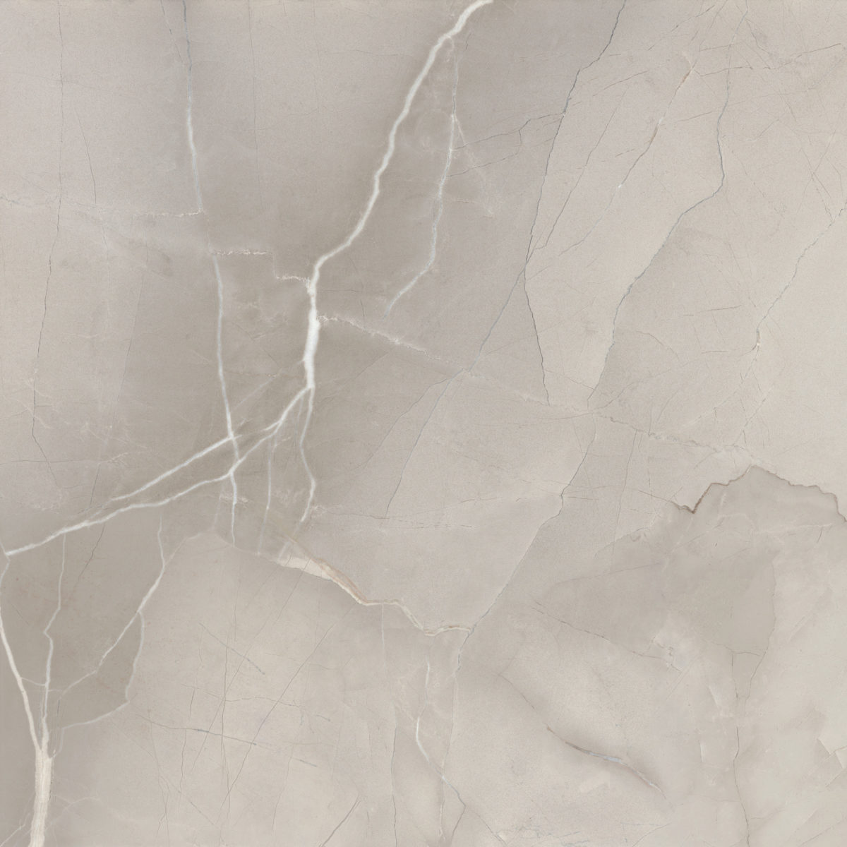 T10630-- PASSION LUX 24X24 LAPP PASSION LUX GREY LAPPATO 24"X24" - Image 2