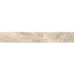 GIAGUARO MASK CONCHIGLIA LAPPATO 8"X48"