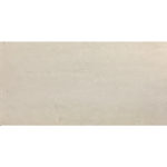 REGAL SLATE GLOSSY 12"X24"