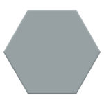 HEXAGON ASH P1