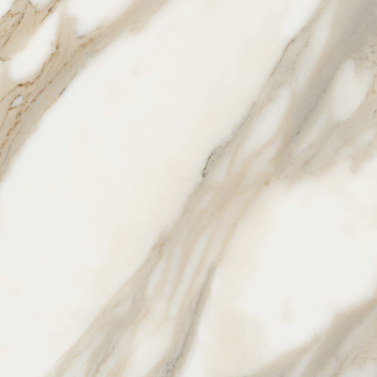 CALACATTA WALL FLOOR TILE