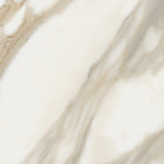 CALACATTA WALL FLOOR TILE
