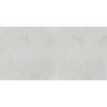 LAIKA PERLA 24X48 P1