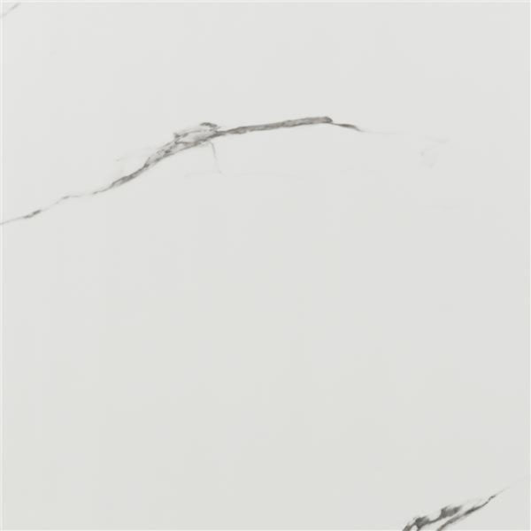 RIOLA 60X60 FLOOR TILE