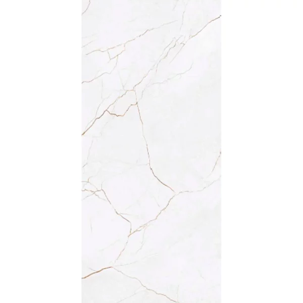 quantum polished slab 120x260 slab3