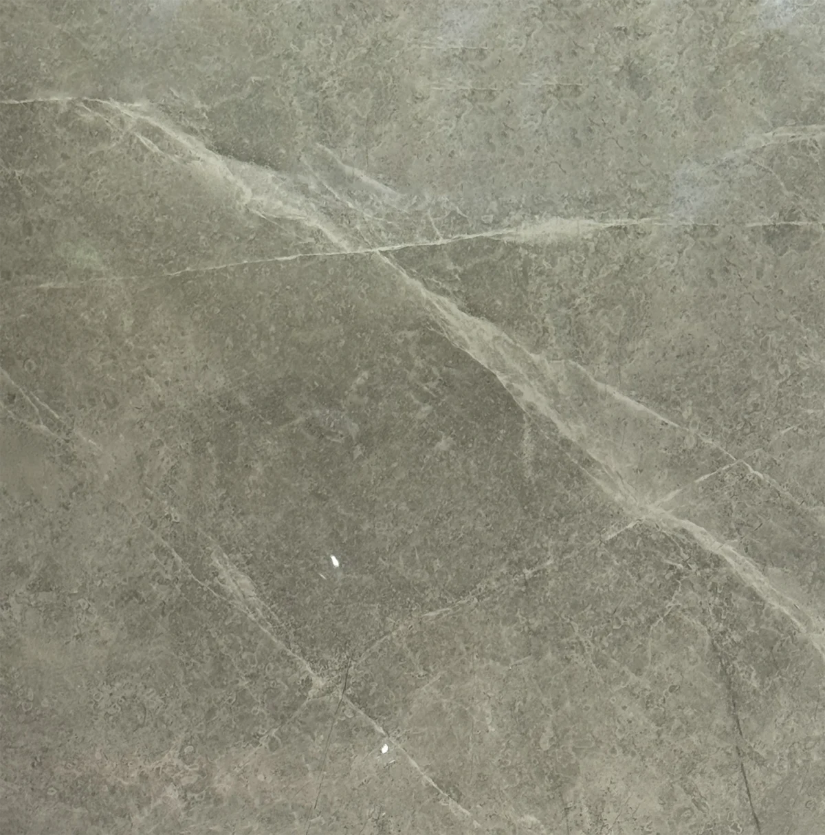 ICE MARENGO GLOSSY 24"X24" - Image 1