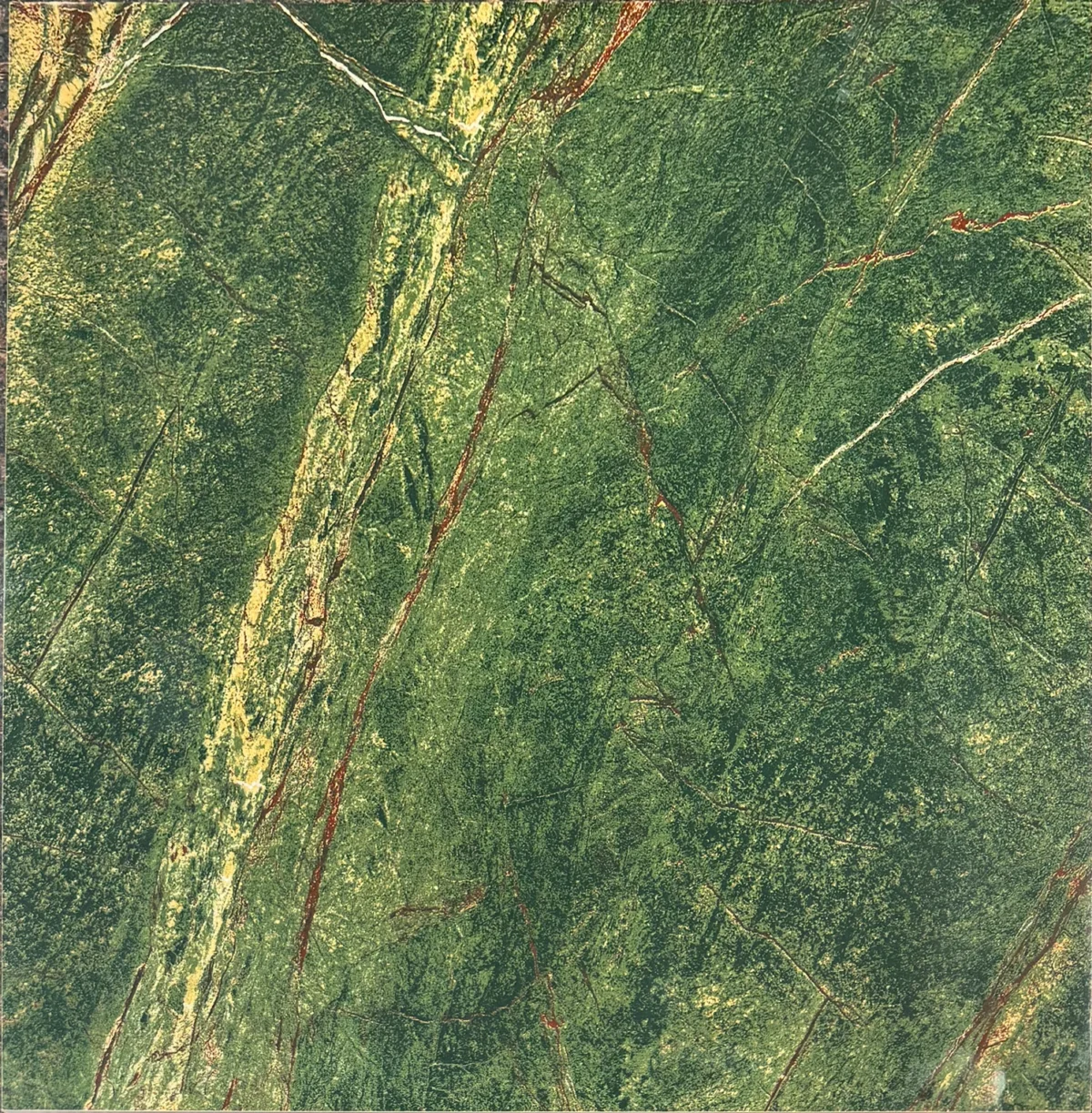 RAINFOREST-GREEN-T11388 RAINFOREST GREEN GLOSSY 24"X24" - Image 1