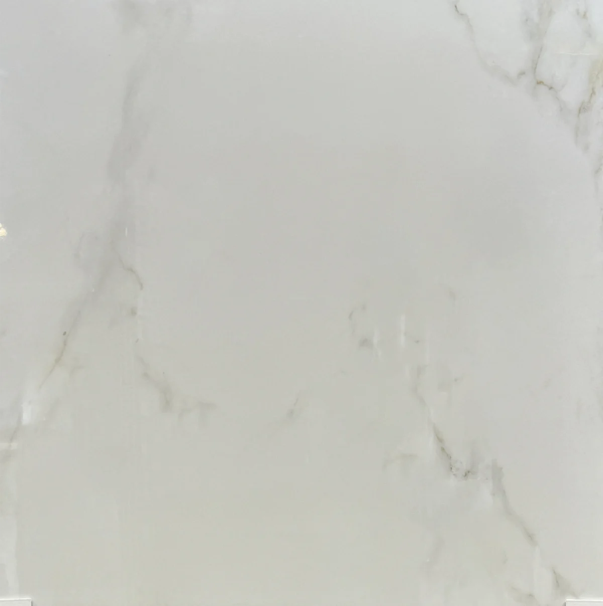 SNOW WHITE GLOSSY-T11386 SNOW WHITE GLOSSY 24"X24" - Image 1
