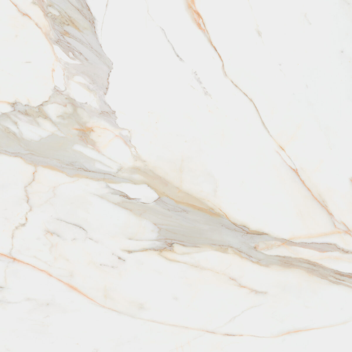 T11465-120X120-CALACATA-GOLD-1 CALACATA GOLD POLISHED 48"X48" - Image 2