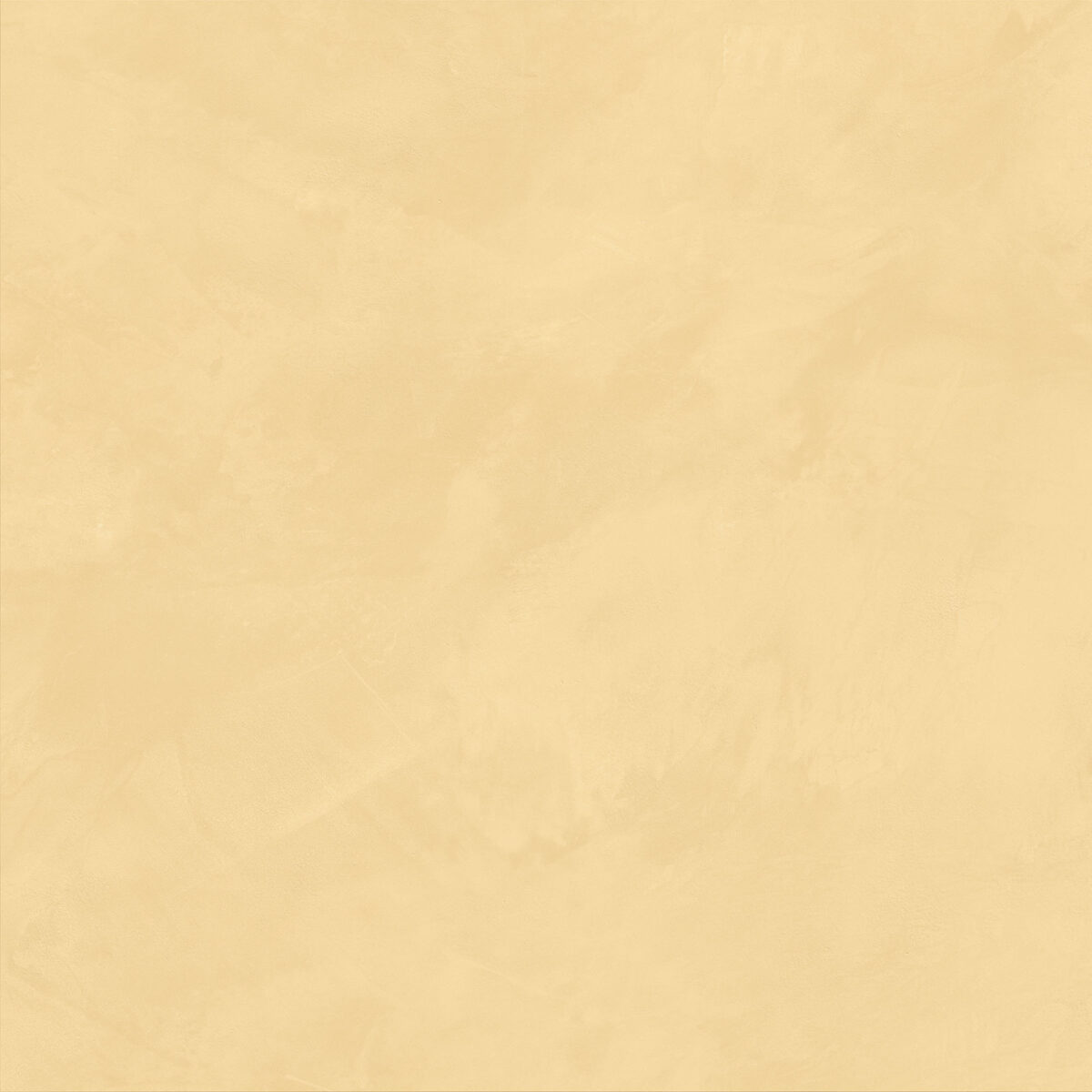 JOIN MANGO LAPPATO 24"X24" - Image 2