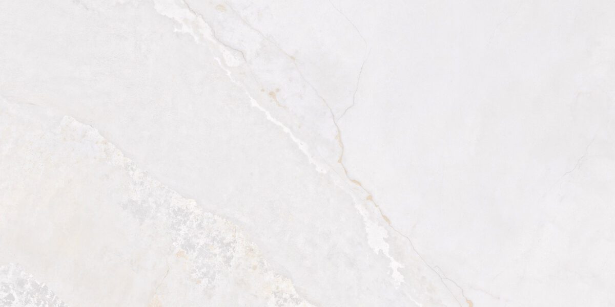 PLANET METAL WHITE LAPPATO 24"X48" - Image 1